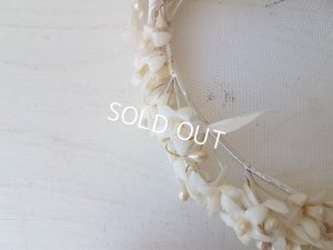 画像20: コミュニオンワックスフラワーセット