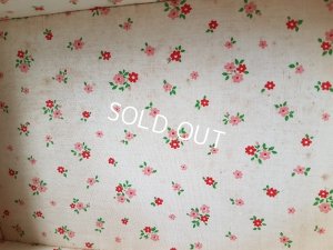 画像13: 赤ずきんちゃん柄ガラスケース