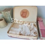 画像: B.C. mit dem katzenkopf猫ボックス