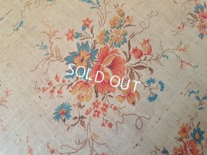 画像2: B.C. mit dem katzenkopf猫ボックス