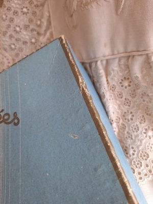 画像10: グローブドマリエ紙箱