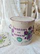 画像: Violettes de Toulouseすみれボックス