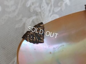 画像9: アンティークシェルトレイ