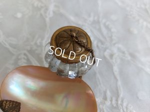 画像10: アンティークシェルトレイ