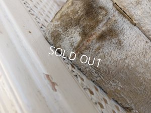 画像13: アンティーククッション付きボックス