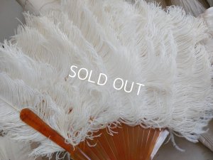 画像10: アンティークフェアザーファン