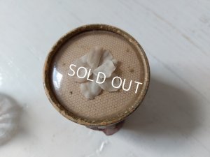 画像6: Violettes de Toulouseボックス付香水瓶