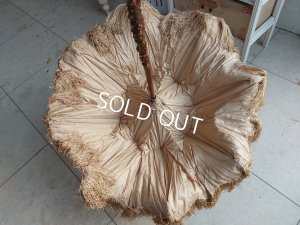 画像18: アンティークパラソル