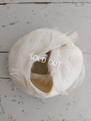 画像9: フェザーハット