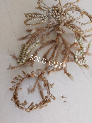 画像14: グローブドマリエワックスフラワーブーケ