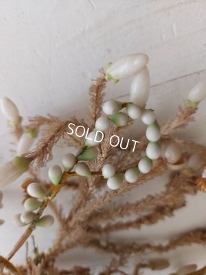 画像7: グローブドマリエワックスフラワーブーケ