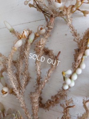 画像18: グローブドマリエワックスフラワーブーケ