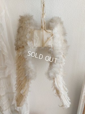 画像13: エンジェルウィング