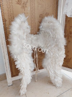 画像2: エンジェルウィング