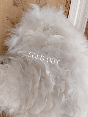 画像4: エンジェルウィング