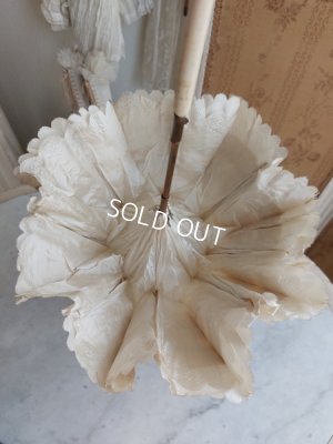 画像9: ヴィクトリアンパラソル