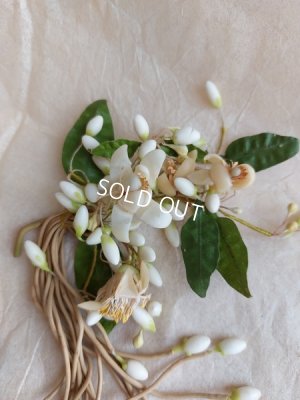 画像6: アンティークマリエワックスフラワーオーナメント