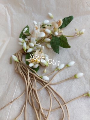 画像8: アンティークマリエワックスフラワーオーナメント