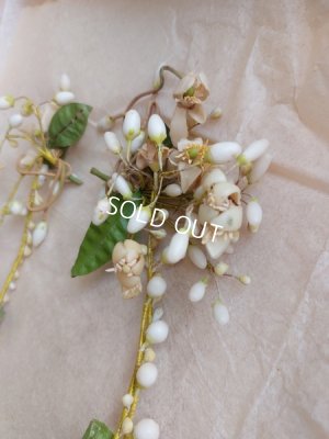 画像4: アンティークマリエワックスフラワーティアラ