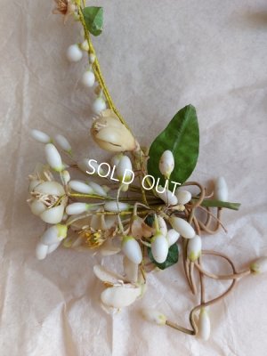 画像14: アンティークマリエワックスフラワーティアラ