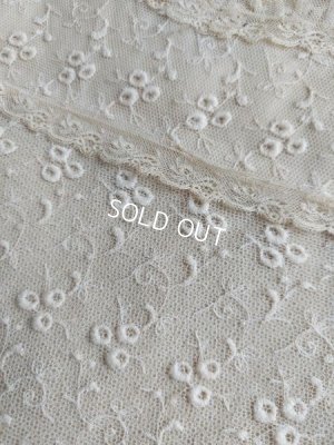 画像2: アンティークレースケース