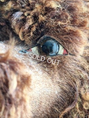 画像3: アンティークフレンチパジャマドッグ