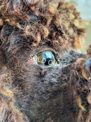 画像5: アンティークフレンチパジャマドッグ