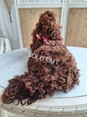 画像8: アンティークフレンチパジャマドッグ