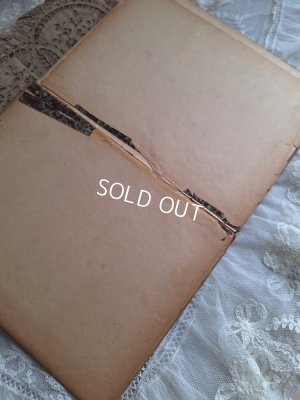 画像17: LES BEBES DES JARDIN DE PARIS絵本