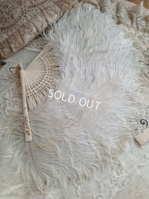 画像11: アンティークフェザーファン