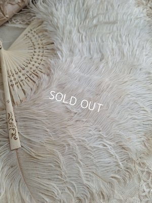 画像12: アンティークフェザーファン