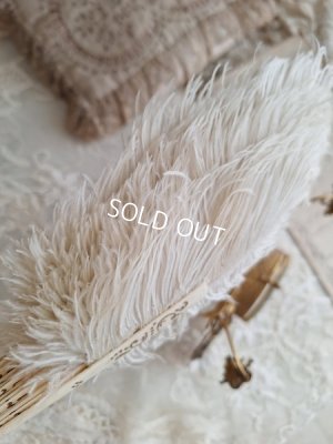 画像9: アンティークフェザーファン