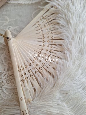 画像6: アンティークフェザーファン