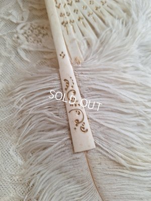 画像16: アンティークフェザーファン