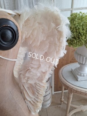 画像10: アンティークエンジェルウィング