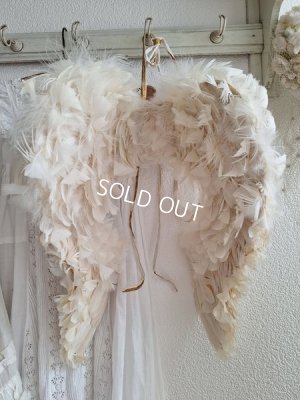 画像28: アンティークエンジェルウィング