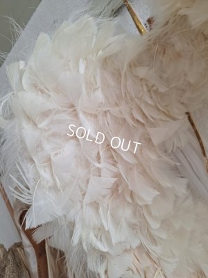 画像19: アンティークエンジェルウィング