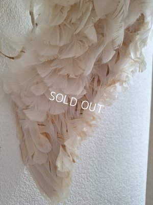 画像21: アンティークエンジェルウィング