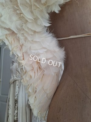 画像26: アンティークエンジェルウィング