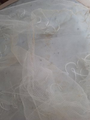 画像13: アンティークベール付ワックスフラワーティアラ