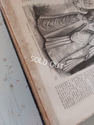 画像27: La mode Ilustreeモード本1886