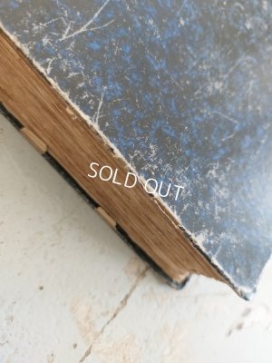 画像32: La mode Ilustreeモード本1886