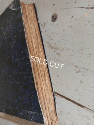 画像34: La mode Ilustreeモード本1886