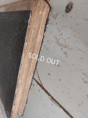 画像36: La mode Ilustreeモード本1886