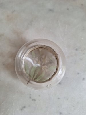 画像4: 小さなガラスパウダージャー