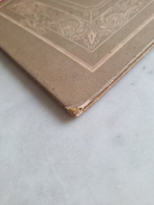 画像14: Les Oiseauxアンティーク小鳥図鑑