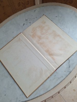 画像17: Les Oiseauxアンティーク小鳥図鑑