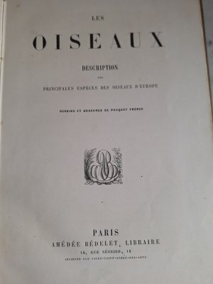 画像5: Les Oiseauxアンティーク小鳥図鑑