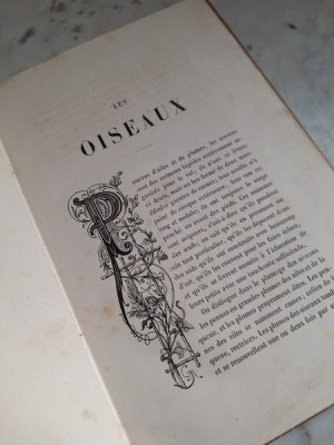 画像7: Les Oiseauxアンティーク小鳥図鑑