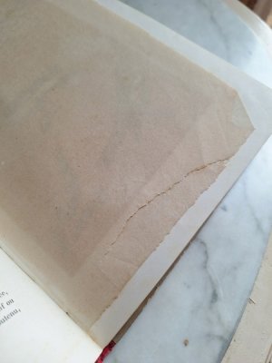 画像18: Les Oiseauxアンティーク小鳥図鑑